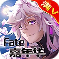 fate嘉年华无敌版
